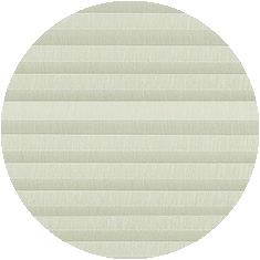 Cedar 01