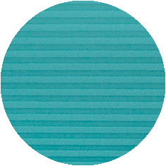 Parrot 16