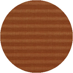 Tulip 07
